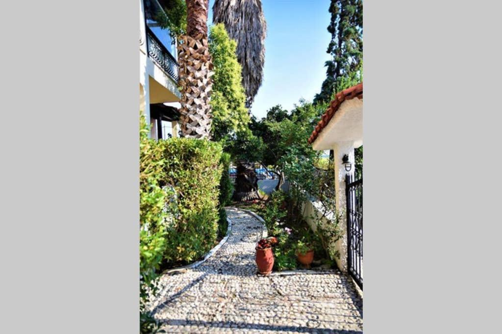 Calma Luxury Apartments #4 Sozopoli In Halkidiki Bagian luar foto